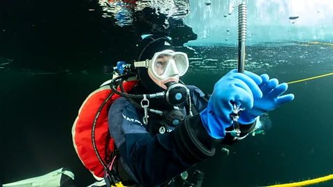 A diver in a red drysuit holding a torch swimming under a ceiling of ice, coloured green by algae (Credit: Edd Stockdale)