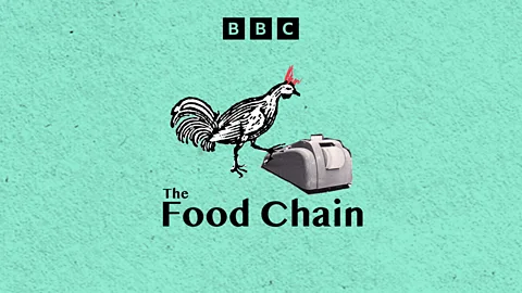 The Food Chain