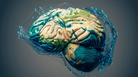 More or Less: Behind the Stats, What is an IQ map and can we trust them?