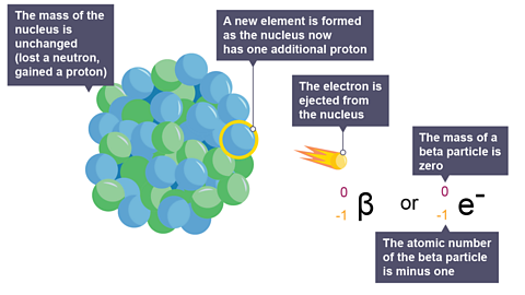 A new element is formed as the nucleus now has one additional proton while the mass of the nucleus remains unchanged - it lost a neutron and gained a proton. 