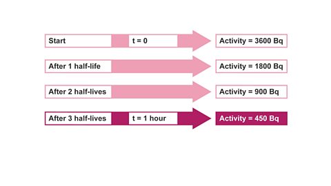  This shows that 3 half-lives took one hour.
