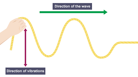 The rope continues to moves up and down, producing peaks and troughs.