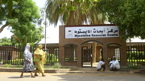 Health Check, Health Check, Mycetoma’s only research centre destroyed