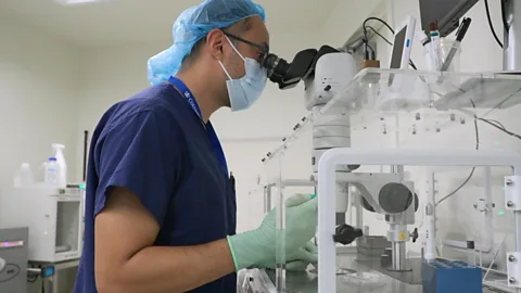 Watch rare sperm found by AI in IVF lab