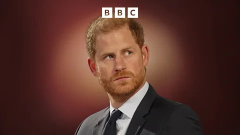 The Interview, The Interview, Prince Harry: Is his safety at risk?