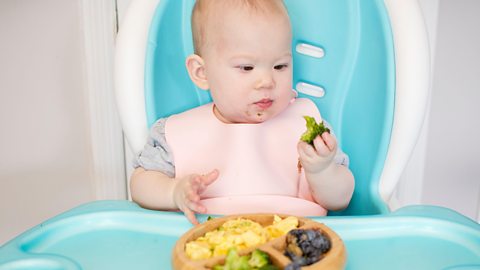 Baby feeding themselves a piece of broccoli in a high chair, with a plate of colourful food in front of them