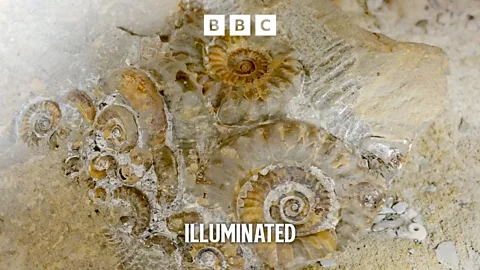 Illuminated, Illuminated, A Walk in Time