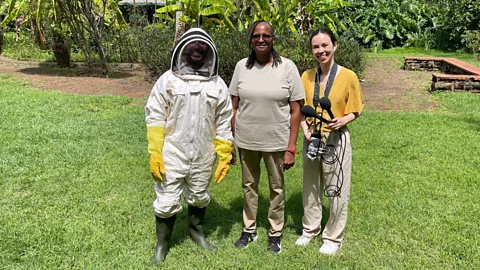 CrowdScience, CrowdScience, Can eating honey help save bees?