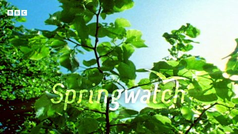 BBC Two - Springwatch, 2020, How to build a pond