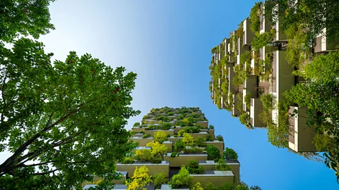 A 'high-rise forest', an apartment building with multiple trees on each level (Credit: Eindhoven, Netherlands/ Stefano Boeri Architetti)