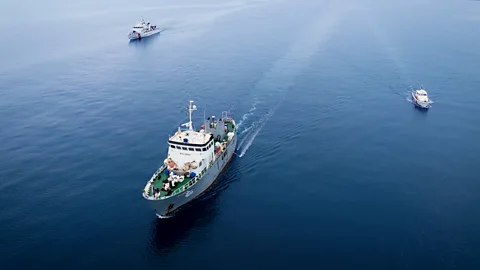 The Sea Eagle boat operated by Sea Shepherd sails alongside two Sicilian coastguard ships in the Tyrrhenian Sea (Credit: Sea Shepherd)