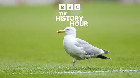 The History Hour, The History Hour, Discovery of the first exoplanets and the goalie who killed a seagull