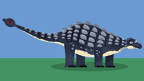 Image of a Tsagantegia which is black and has grey spikes. 