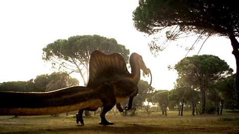 Dino still