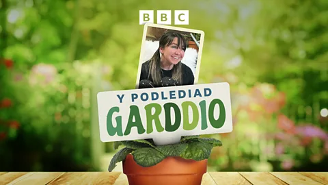 Lleisiau Cymru, Y Podlediad Garddio