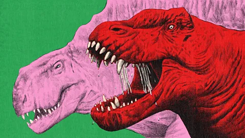 An recolourizsed illustration of Anteosaurus baring its teeth (Credit: Emmanuel Lafont/ BBC)