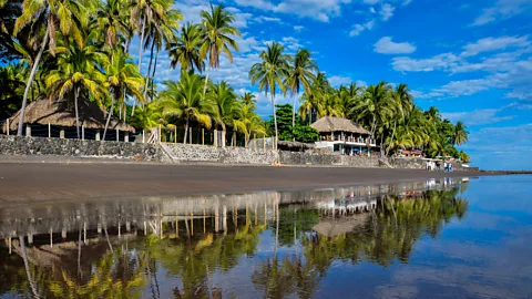 Buildings and palm trees on El Zonte beach, El Salvador (Credit: Getty Images)