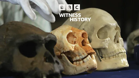 Witness History, Witness History, Discovery of the 'Hobbit'