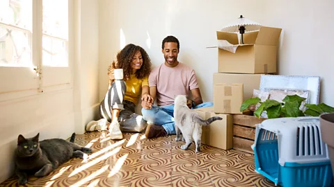Business Daily, Business Daily, Home loans, different ways
