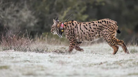 Business Daily, Business Daily, The quiet power behind smart tech