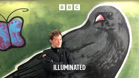 Illuminated, Illuminated, Into the West