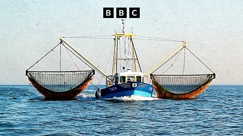 The Food Chain, The Food Chain, Bottom trawling and the future of global fish supplies