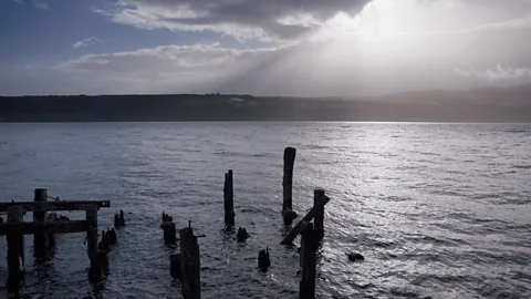 The Hunt for the Monster