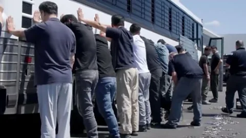 The Global Story, The Global Story, Why is the US government deporting people building factories?