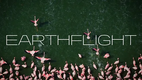 Earthflight