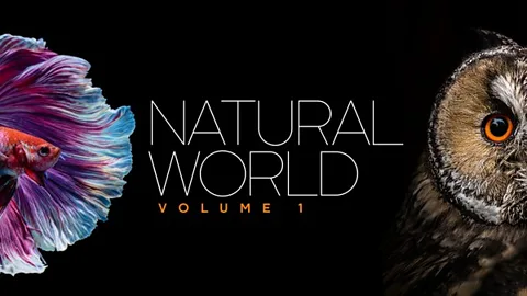 Natural World: Volume I