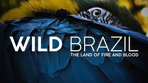 Wild Brazil: The Land of Fire and Blood