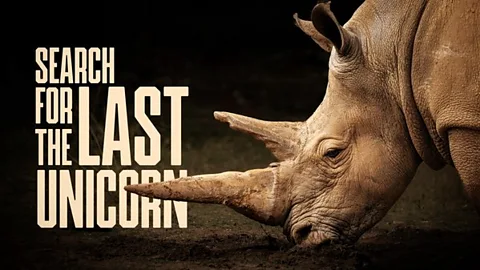 Search for the Last Unicorn