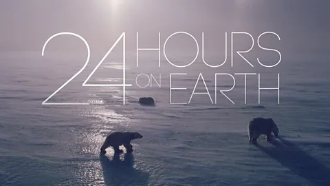 24 Hours on Earth
