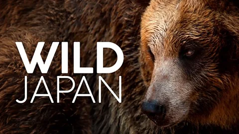 Wild Japan
