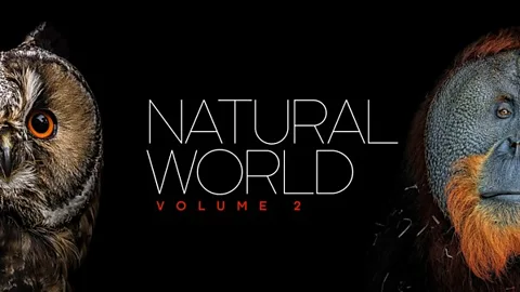 Natural World: Volume II