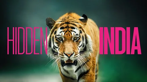 Hidden India