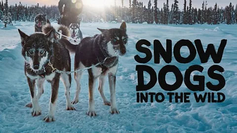 Snow Dogs: Into the Wild
