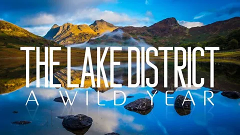 The Lake District: A Wild Year