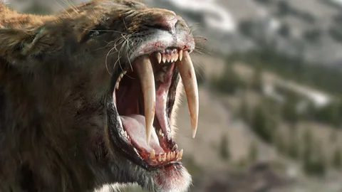 Land of the Saber-Tooth