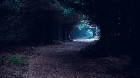 The Murder of Arlene Arkinson