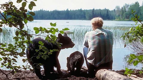 Black Bears of the Northwoods