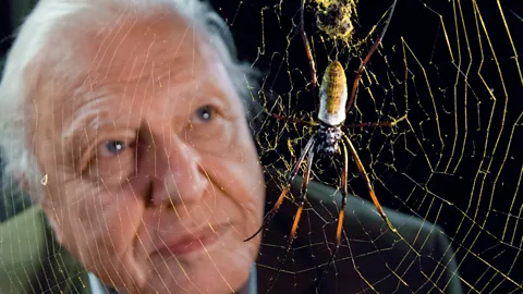 Spinners and Weavers