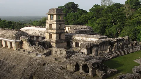 The Search for Civilisation