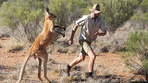 Kangaroo Dundee and Other Animals - Part 2