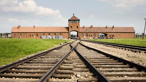 34 Years in a Rat's Life