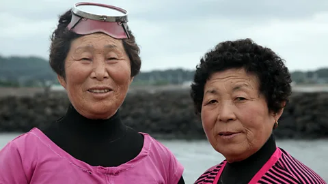 The Universe in a Snowflake