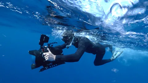 Searching for Monsters