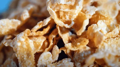 The Secret World of Cereals