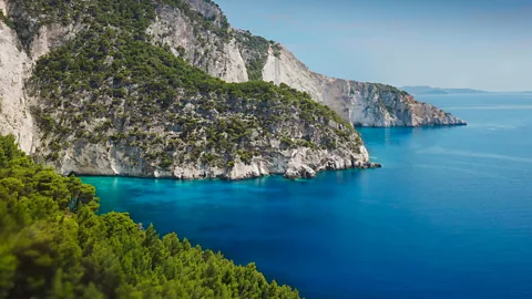 The Odyssey for New Life