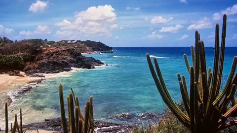 Royal Holiday Secrets